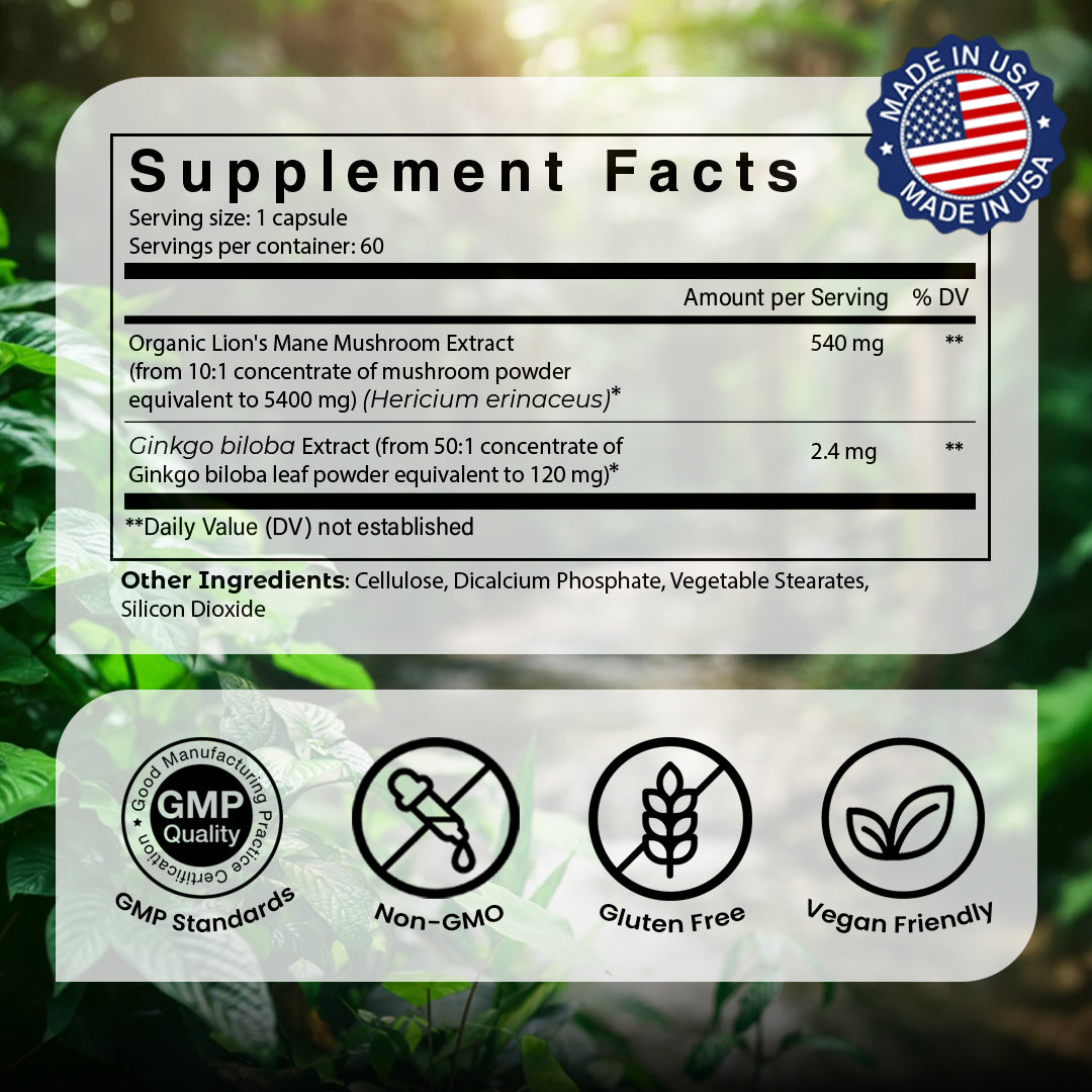 LION'S MANE + GINKGO BILOBA