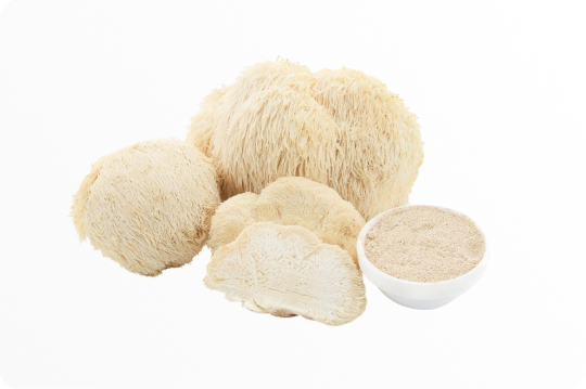 lions mane