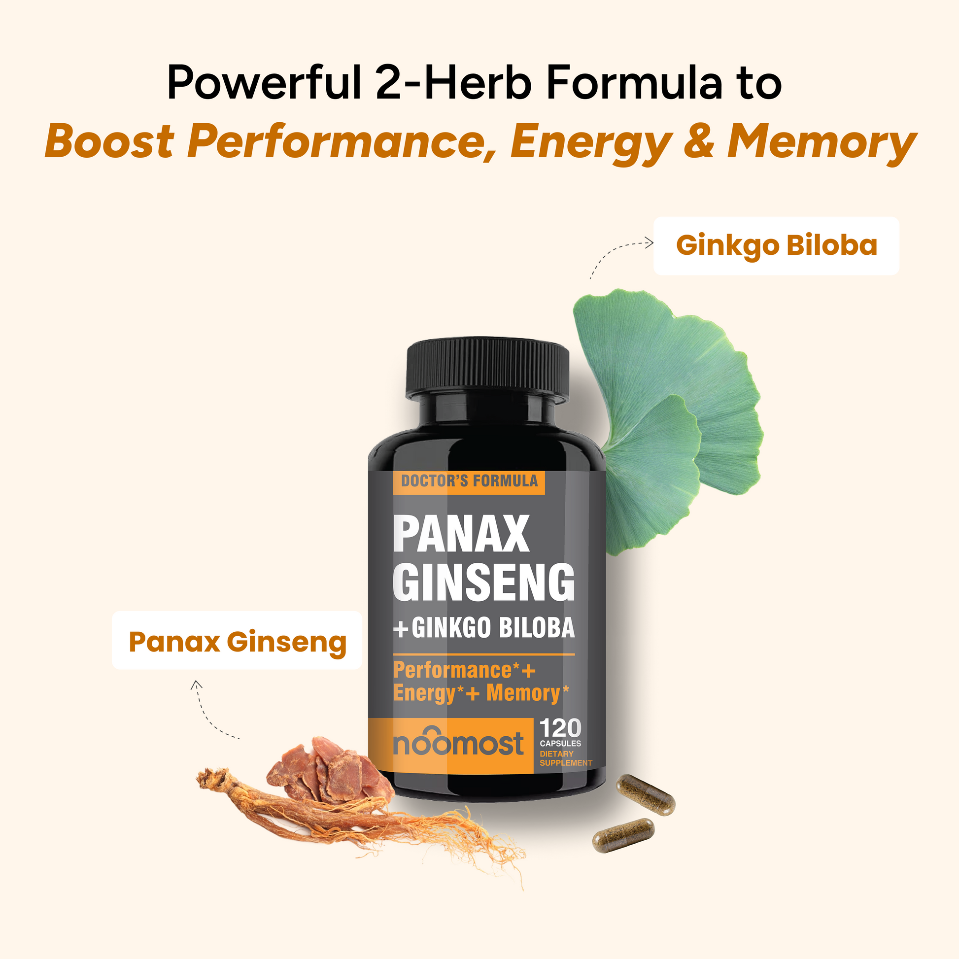 PANAX GINSENG + GINKGO BILOBA