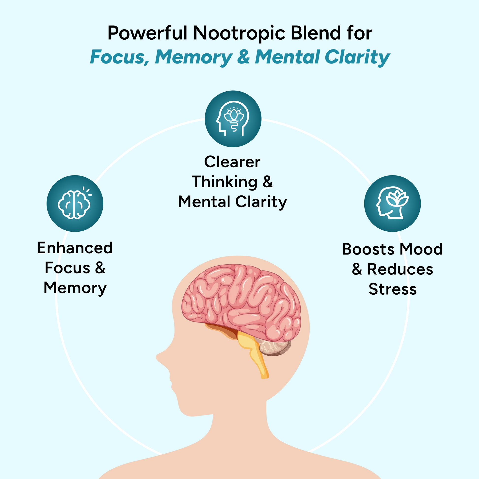 FOCUS + MEMORY + CLARITY MAXIMUM