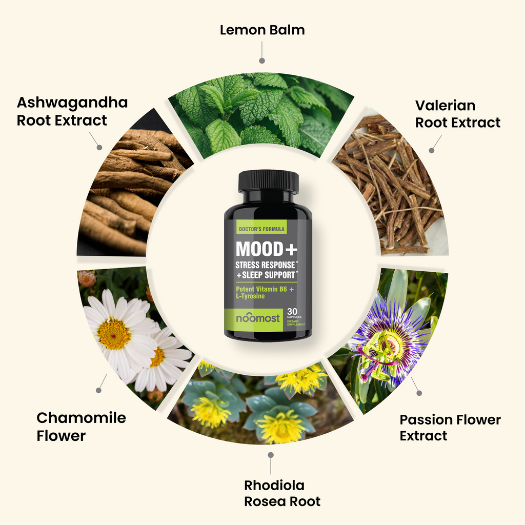 MOOD + REDUCE ANXIETY + IMPROVE SLEEP