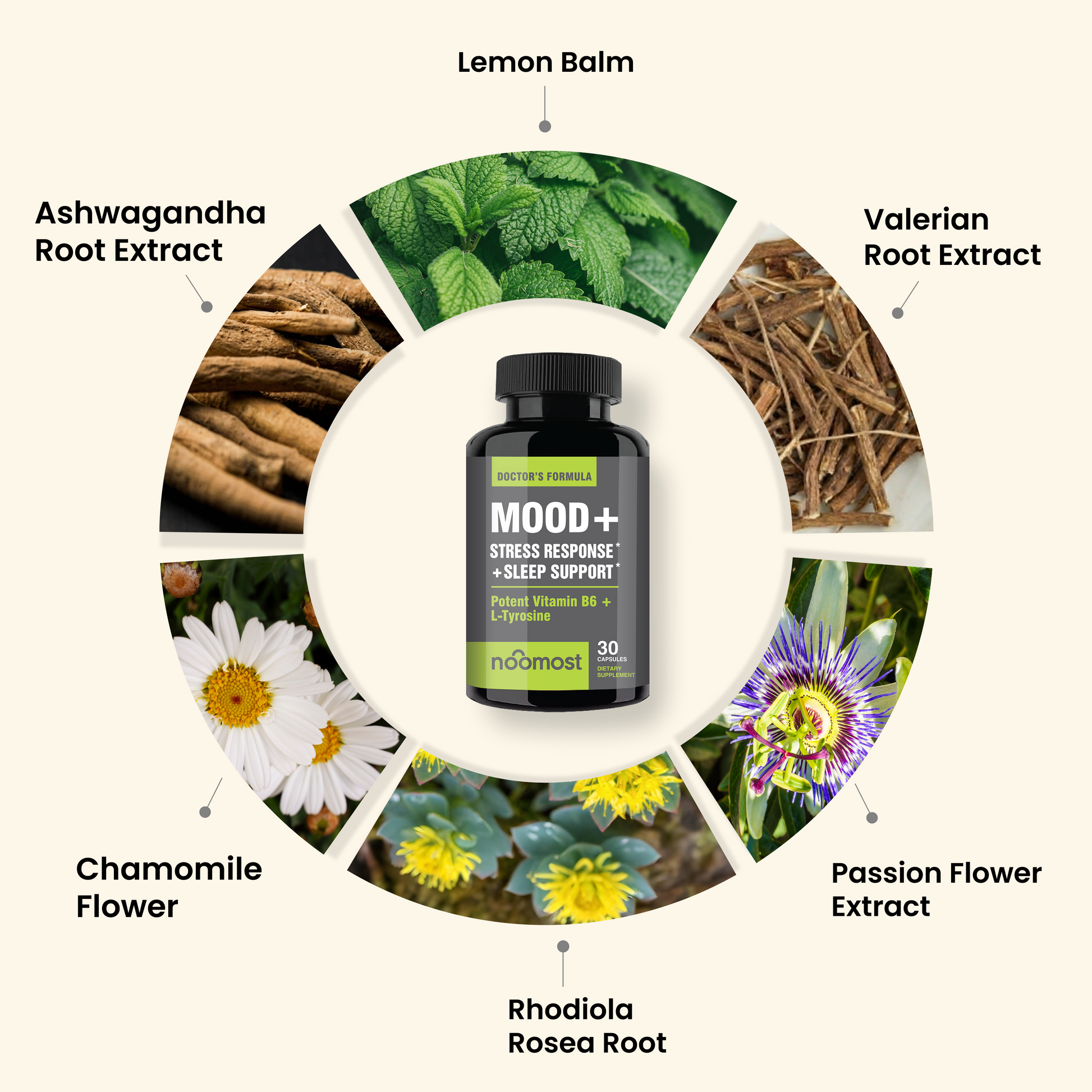 MOOD + REDUCE ANXIETY + IMPROVE SLEEP