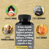 ASHWAGANDHA + BLACK PEPPER EXTRACT
