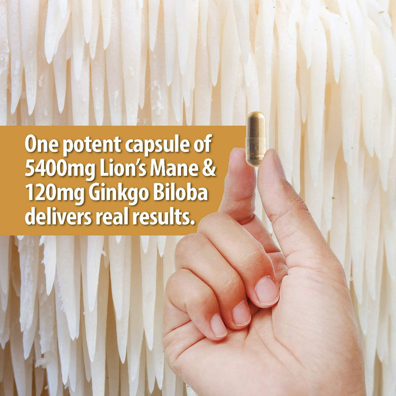 LION'S MANE + GINKGO BILOBA