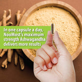 ASHWAGANDHA + BLACK PEPPER EXTRACT